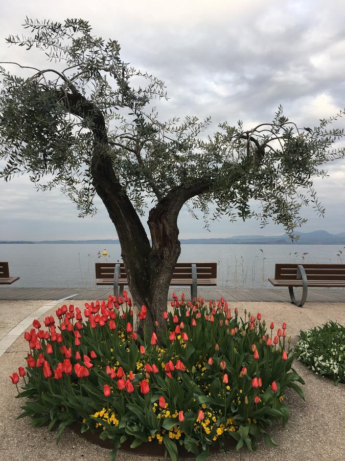 Caba Holiday Bardolino D'Annunzio Zewnętrze zdjęcie