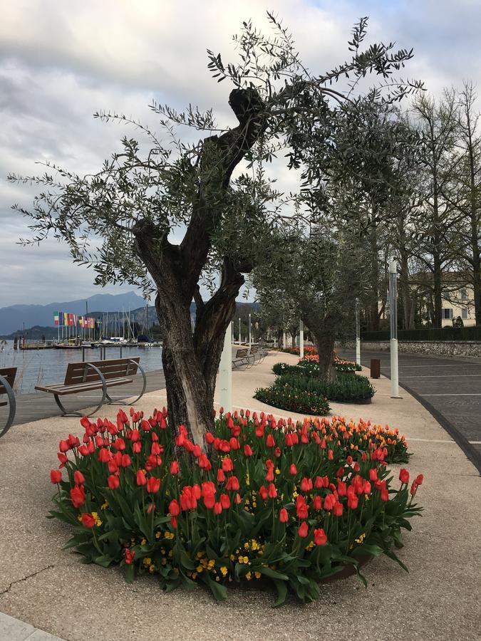 Caba Holiday Bardolino D'Annunzio Zewnętrze zdjęcie